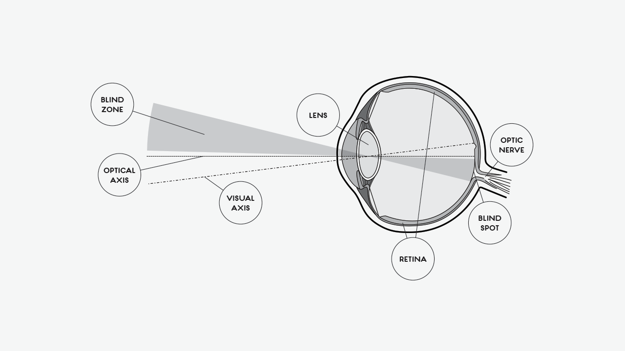 eye_section